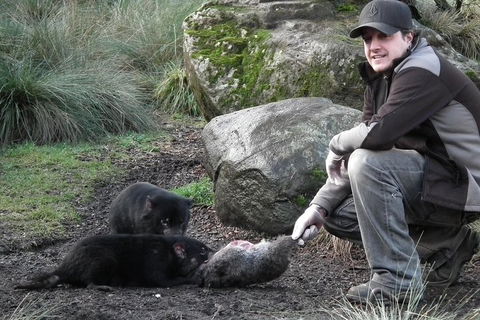 After Dark Tasmanian Devil Feeding Tour At Cradle Mountain - Accommodation Port Macquarie 2