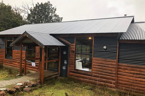 After Dark Tasmanian Devil Feeding Tour At Cradle Mountain - Accommodation Port Macquarie 3