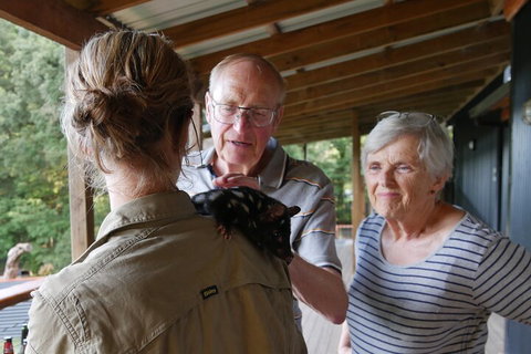 Sunset Experience - Accommodation Port Macquarie 1