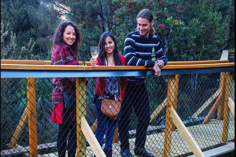 Sunset Experience - Accommodation Port Macquarie 2