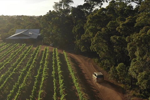 The All About Margaret River Tour: Wine, Coffee, Lunch And Forest - Accommodation Port Macquarie 1
