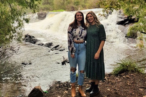 The All About Margaret River Tour: Wine, Coffee, Lunch And Forest - Accommodation Port Macquarie 2