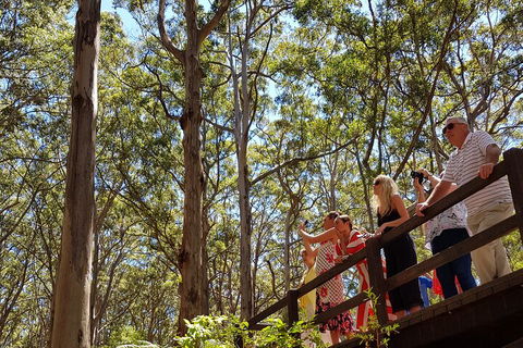 The All About Margaret River Tour: Wine, Coffee, Lunch And Forest - Accommodation Port Macquarie 3
