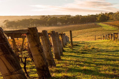 The All About Margaret River Tour: Wine, Coffee, Lunch And Forest - Accommodation Port Macquarie 5