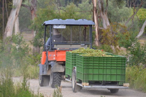 Yarra Valley Private Car Winery Tour And Chocolate.1-7 Passengers One Car Price - Accommodation Port Macquarie 1