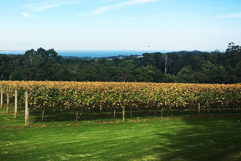 Yarra Valley Wine Tour Inc Lunch With A Glass Of Wine, Tastings And Chocolate - Accommodation Port Macquarie 2