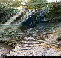 Paronella Park and Millaa Millaa Falls Full-day Tour from Cairns - Accommodation Port Macquarie