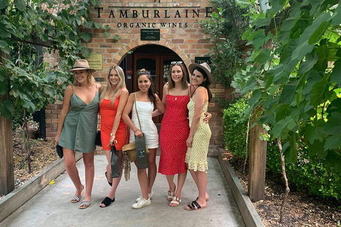 A Full Day Hunter Valley Wine Tasting Tour With Lunch And Tasting Fee's Included - Accommodation Port Macquarie 4