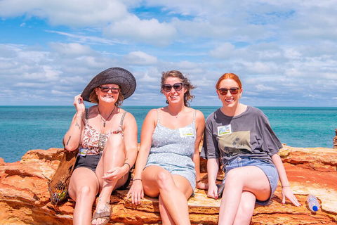 Broome Panoramic Town Tour - All The Extraordinary Sights And History Of Broome - Accommodation Port Macquarie 5