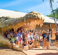 Malcolm Douglas Crocodile Park Tour Including Transportation - Accommodation Port Macquarie