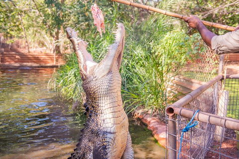 Malcolm Douglas Crocodile Park Tour Including Transportation - Accommodation Port Macquarie 5