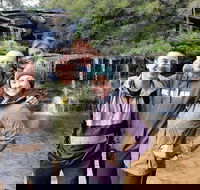 Blue Mountains Small Group Tour Enjoy a Sleep In Waterfalls Sunset  Dinner - Accommodation Port Macquarie