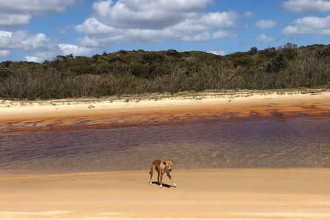 Pippies 3 Days 2 Nights Fraser Island Tour - Accommodation Port Macquarie 2