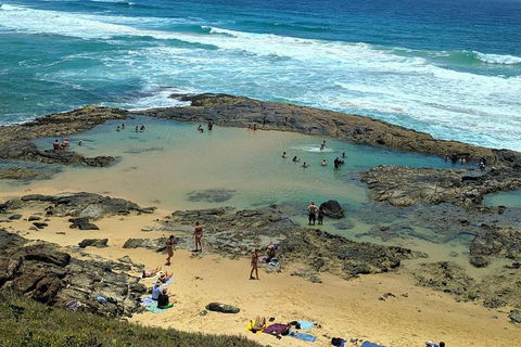 Pippies 3 Days 2 Nights Fraser Island Tour - Accommodation Port Macquarie 5