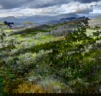 3-Day Tour to the Falls Mountains Lake  More of West Coast Tasmania - Accommodation Port Macquarie