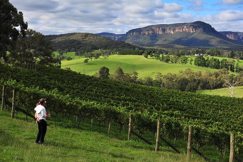 Private Blue Mountains And Winery Day-Trip From Sydney - Accommodation Port Macquarie 2
