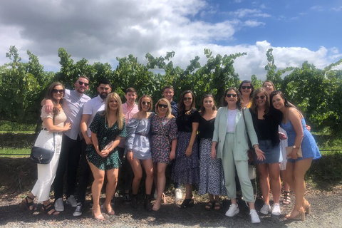 Yarra Valley Public Winery Tours - Accommodation Port Macquarie 3