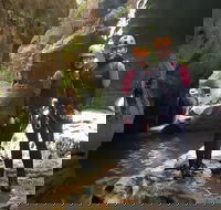 Blue Mountains Empress Canyon Adventure from Wentworth Falls - Accommodation Port Macquarie