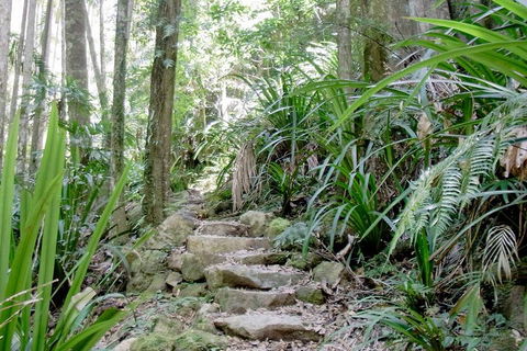 Byron Bay Combo: Minyon Falls And Hinterland Day Trip And Learn To Surf At Byron Bay - Accommodation Port Macquarie 3