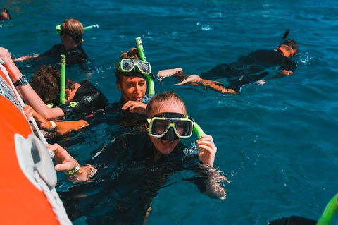 Whitehaven Beach And Hill Inlet Lookout Full-Day Snorkeling Cruise By High-Speed Catamaran - Accommodation Port Macquarie 3