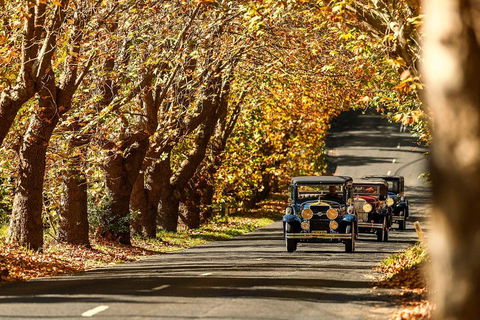 Blue Mountains Vintage Cadillac Tour With Local Guide - Accommodation Port Macquarie 1
