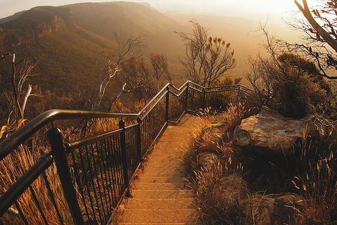 Blue Mountains Vintage Cadillac Tour With Local Guide - Accommodation Port Macquarie 3