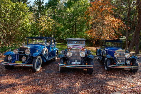 Blue Mountains Vintage Cadillac Tour With Local Guide - Accommodation Port Macquarie 4