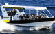 Mooloolaba Whale Watching Tour - thumb 0