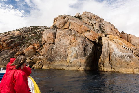 Wilsons Promontory Wilderness Cruise From Tidal River - Accommodation Port Macquarie 3
