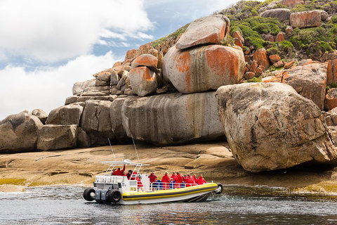 Wilsons Promontory Wilderness Cruise From Tidal River - Accommodation Port Macquarie 4