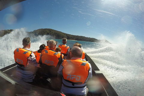 Noosa Thriller - 500hp Ocean Adventure Ride - Accommodation Port Macquarie 3