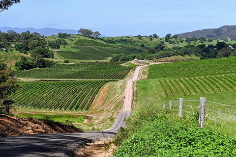 The Complete Hunter Valley Wine Tour Of Pokolbin, Mt View, Lovedale And Rothbury - Accommodation Port Macquarie 0