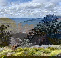 Blue Mountains Private Tour - wild kangaroos waterfalls and The Three Sisters - Accommodation Port Macquarie