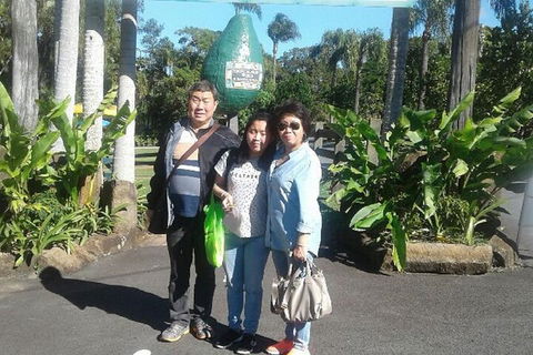 Tropical Fruit World With Wildlife Boat Cruise From Gold Coast - Accommodation Port Macquarie 0