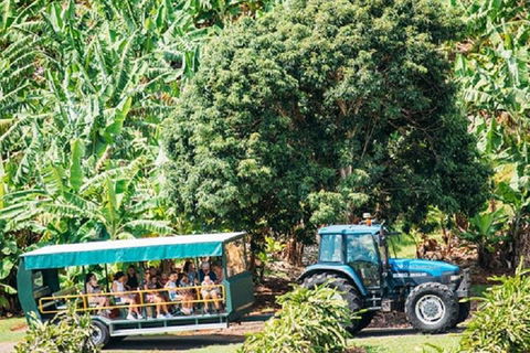 Tropical Fruit World With Wildlife Boat Cruise From Gold Coast - Accommodation Port Macquarie 1
