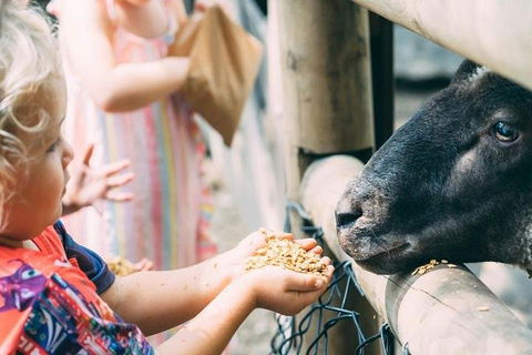 Tropical Fruit World With Wildlife Boat Cruise From Gold Coast - Accommodation Port Macquarie 5