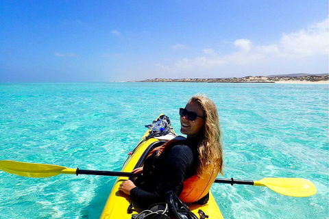 Lagoon Explorer - Ningaloo Reef Full-Day Kayaking And Snorkeling Adventure - Accommodation Port Macquarie 1