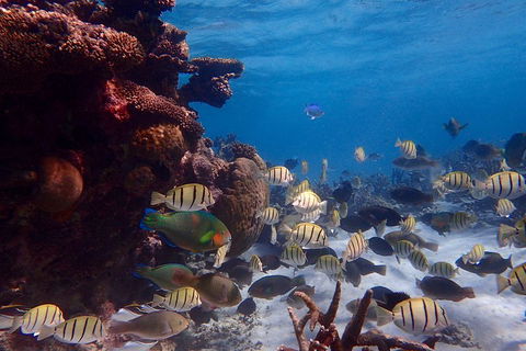 Lagoon Explorer - Ningaloo Reef Full-Day Kayaking And Snorkeling Adventure - Accommodation Port Macquarie 2