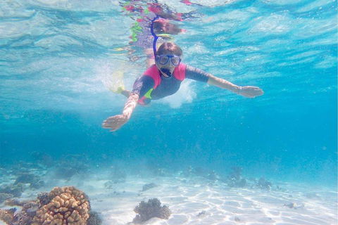 Lagoon Explorer - Ningaloo Reef Full-Day Kayaking And Snorkeling Adventure - Accommodation Port Macquarie 5