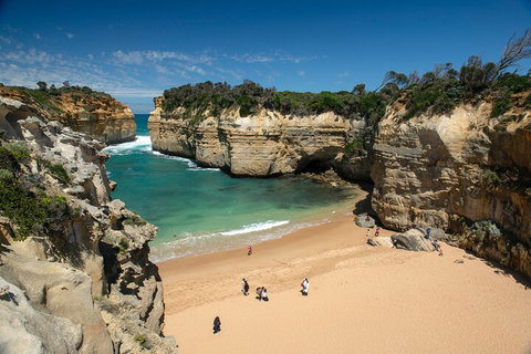 LGBT+ Friendly 12-Hour Great Ocean Road Private Tour - Accommodation Port Macquarie 5