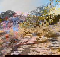 Kings Canyon Day Trip from Ayers Rock Uluru - Accommodation Port Macquarie