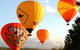 Natural Bridge & Springbrook Waterfalls Tour + Hot Air Balloon With Breakfast - thumb 0