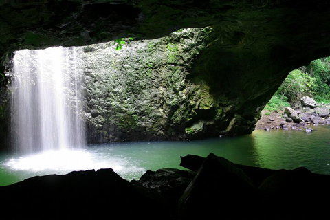 Natural Bridge & Springbrook Waterfalls Tour + Hot Air Balloon With Breakfast - Accommodation Port Macquarie 2