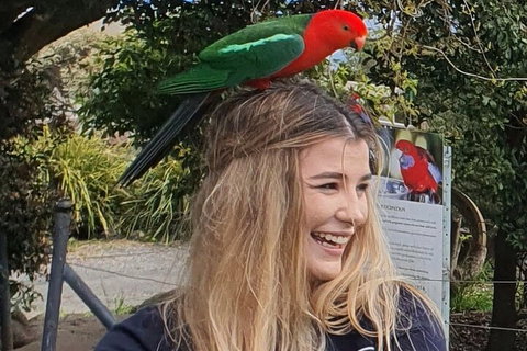 Lamington National Park, O'Reilly's & Vineyard Tour - Accommodation Port Macquarie 0