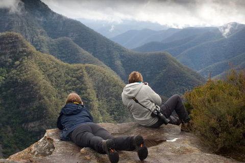 Inside The Greater Blue Mountains World Heritage - A Private Wildlife Safari Overnight - Accommodation Port Macquarie 0