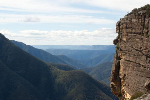 Inside The Greater Blue Mountains World Heritage - A Private Wildlife Safari Overnight - Accommodation Port Macquarie 4