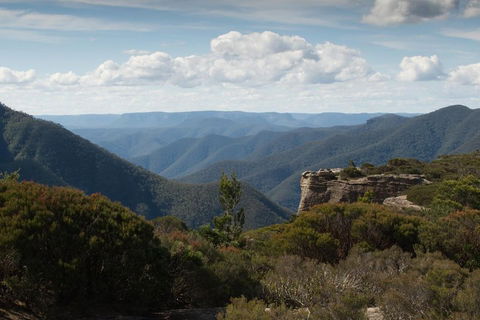 Inside The Greater Blue Mountains World Heritage - A Private Wildlife Safari Overnight - Accommodation Port Macquarie 5