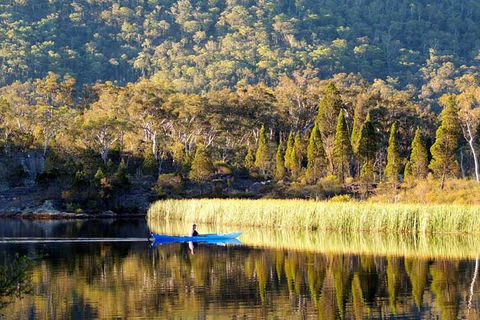 The Explorers' Discovery Tour - Gold, Wine & Wildlife - Accommodation Port Macquarie 2