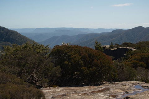 The Explorers' Discovery Tour - Gold, Wine & Wildlife - Accommodation Port Macquarie 3
