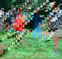 Let's Go Buggin  Let's Go Shroomin - Photography  Nature Walking Tours - Accommodation Port Macquarie